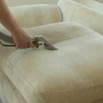 A Woman Removing Pet Hair From Sofa By Using Pet Hair Remover.